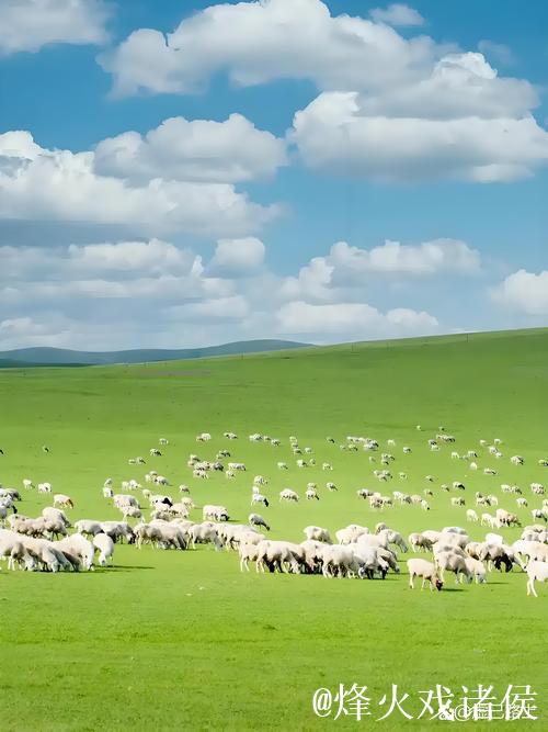 畅游青青草原网:寻觅自然之美 畅游青青草原网:寻觅自然之美