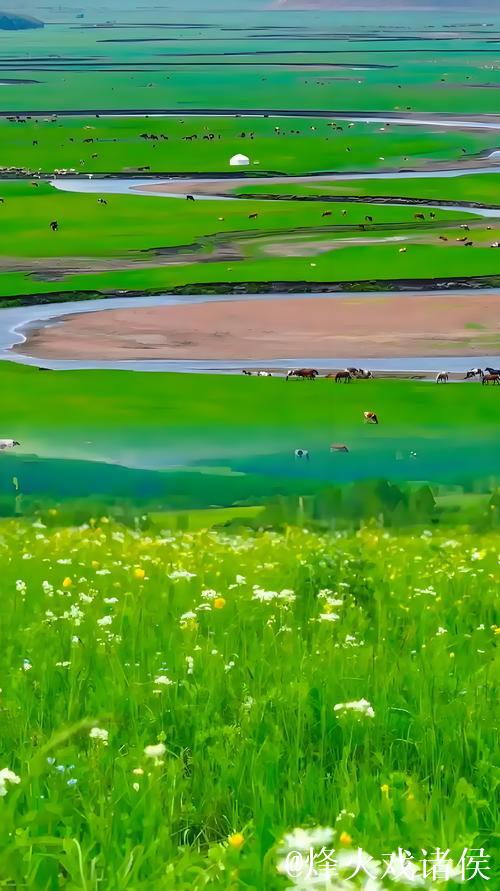 畅游青青草原网:寻觅自然之美 畅游青青草原网:寻觅自然之美